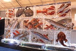 Fresh Fish wall for seafood show Boston. The fish are all fresh the wall is 16 ft wide and 7 ft tall. These magnificent fish were flown in from Hawaii to NewZealand.