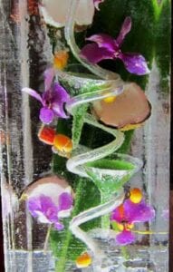 Tropical-Passion Ice Luge Sculpture