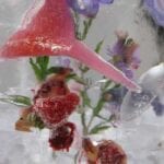 purple flowers and strawberry ice luge