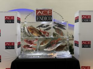 Ace Endico fish wall '26