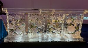 Snowflake Sushi bar '26